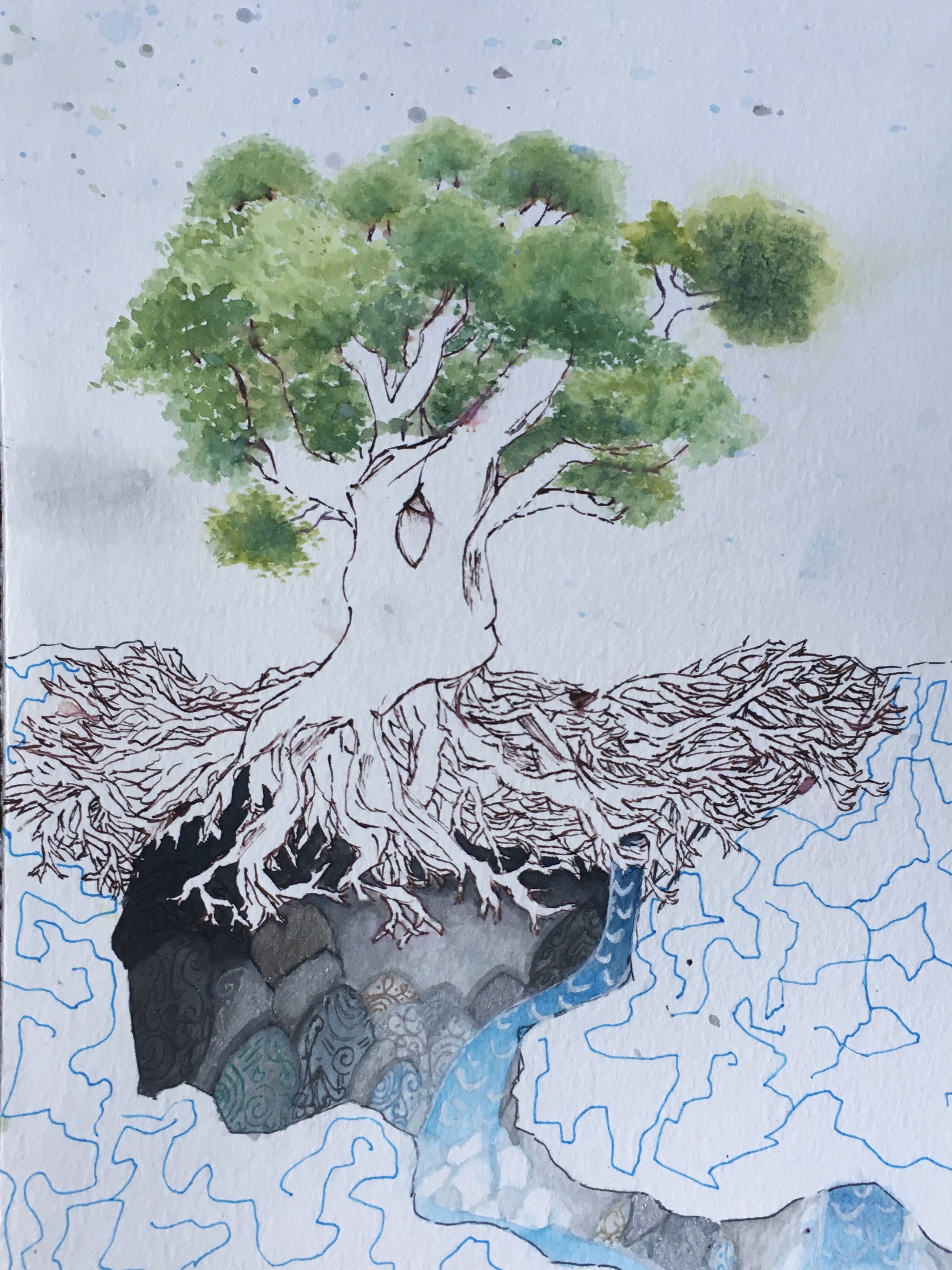 sprawling tree roots